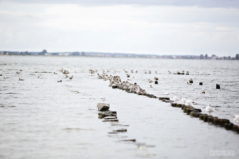 Fotografia Julita Pająk (1)