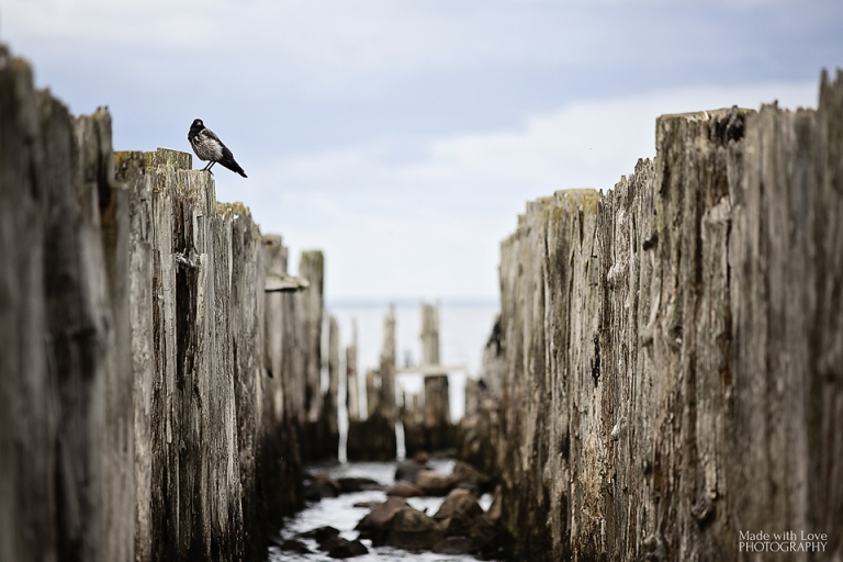 Fotografia Julita Pająk (2)