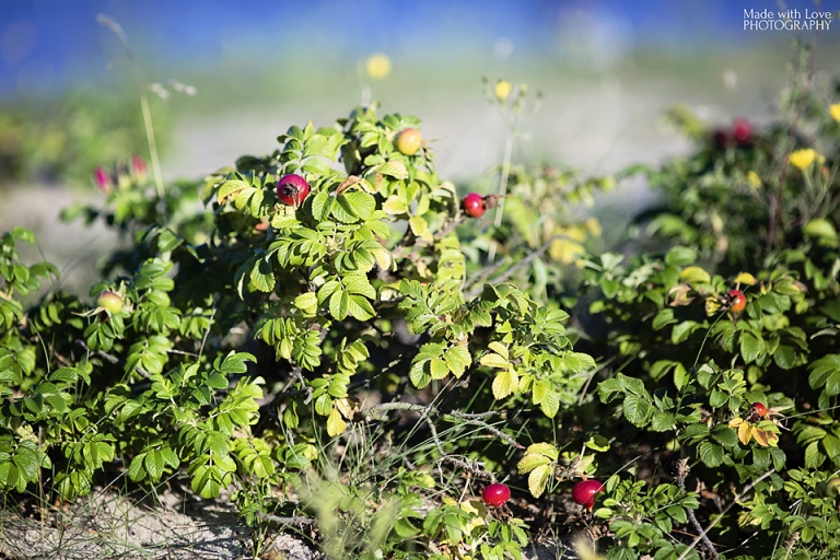 fotografia-julita-pajak-66