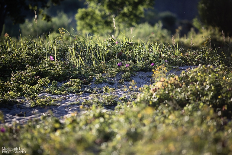 fotografia-julita-pajak-67